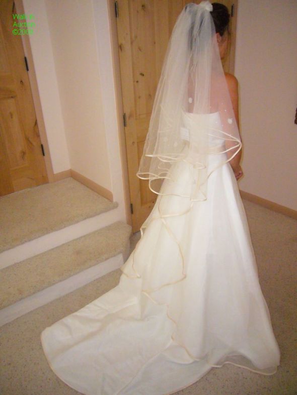 discontinued davids bridal dresses. URGENT-WANTED David#39;s Bridal