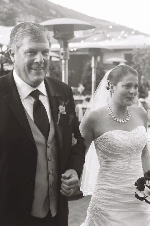 We are back!  Pics from our wedding and Honeymoon on Turtle Island, Fiji. :  wedding honeymoon Wedding.dad.caro