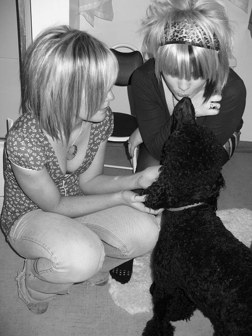Any Poodle Owners? :  wedding L 8cd48a36c83b5d6258c038466b126cff