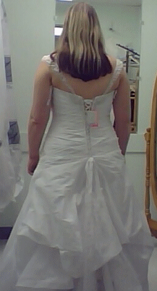 Finally .. First fitting (with pics!) :  wedding dress Back Small