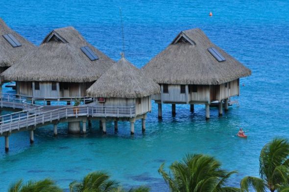 Bora Bora Vacation , cant decide between packages, help! : wedding 60888 588391197553 39201608 33903265 2062301 N