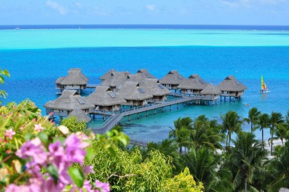 Bora Bora Vacation , cant decide between packages, help! : wedding 61721 588391117713 39201608 33903260 1970178 N