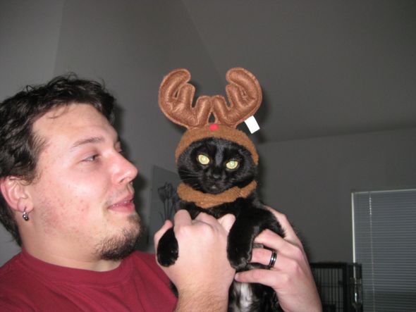 Animals In Festive Holiday Costumes :  wedding IMG 2796