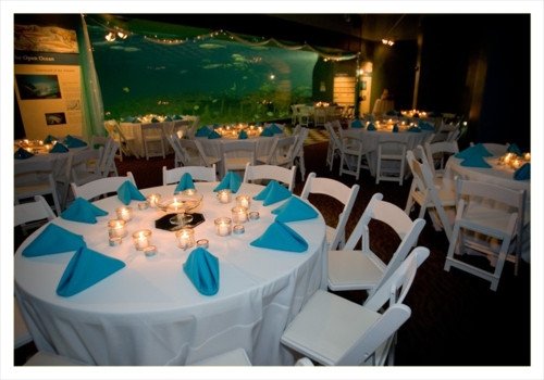 Do you have a unique venue? :  wedding aquarium wedding venue unique Adler Wilcox Dinner Seating