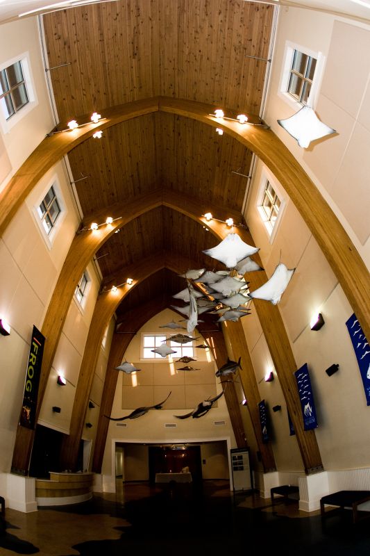 Do you have a unique venue? :  wedding aquarium wedding venue unique Lobby 2