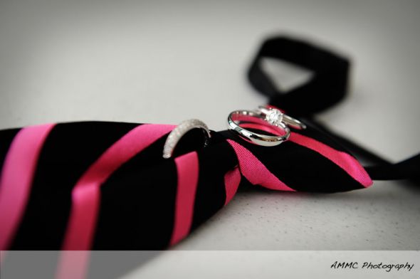 Can't wait..... pro pics TEASE :  wedding Jesskevinweddblog009