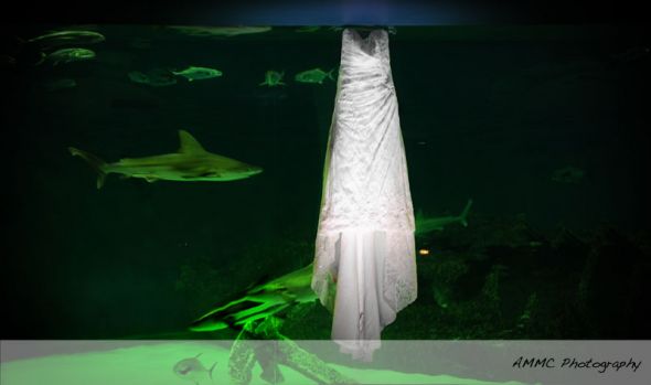 Can't wait..... pro pics TEASE :  wedding Jesskevinweddblog010