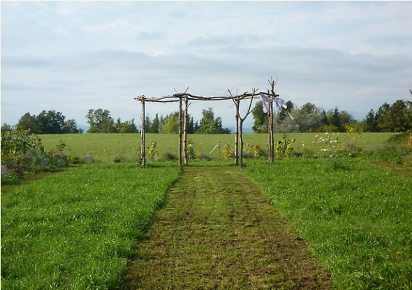 Decor help...share your ideas! :  wedding ceremony garden farm barn reception decorate decor inspiration Picture 9