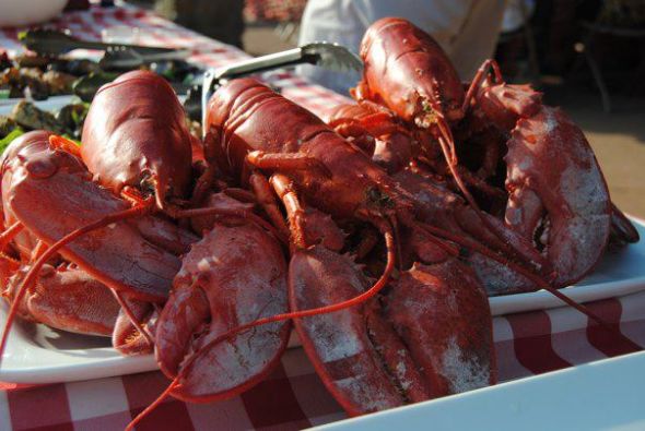 Guest pics of our 9/4/11 wedding including venue, rehearsal dinner and wedding! :  wedding rehearsal dinner lobster maine Wedding37