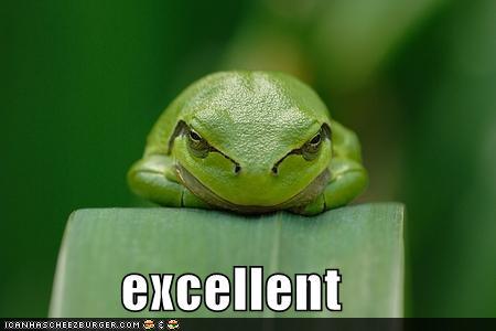 Raise your hand and repeat after me... :  wedding mrs grape Funny Pictures Excellent