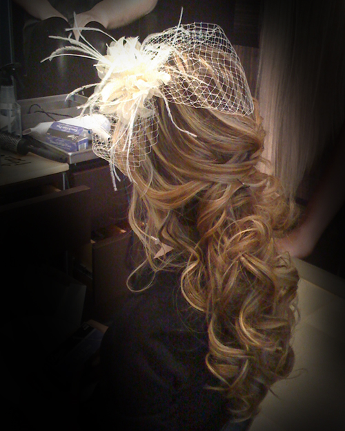High Quality Wedding Birdcage Veil :  wedding IMG 0155