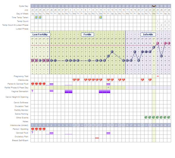 Long cycles and fertility signs? /chart help : wedding charting long cycles ttc 3 2