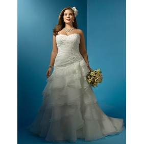 My CAT destroyed my wedding dress!! :  wedding wedding dress plus size 1 emotional vent cat cheap alfred angelo size 18 size 20 help 2123AAdress