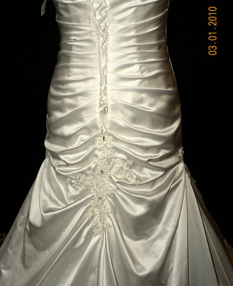I got that feeling and impulsively bid on the dress! :  wedding Picture 10