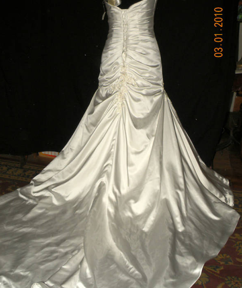 I got that feeling and impulsively bid on the dress! :  wedding Picture 9