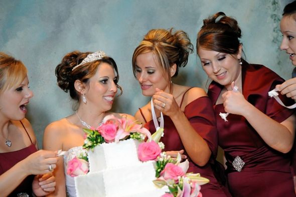 Updo with veil : wedding My Updo