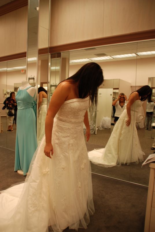 NEW DAVIDS BRIDAL DRESSES! :  wedding DSC 0352