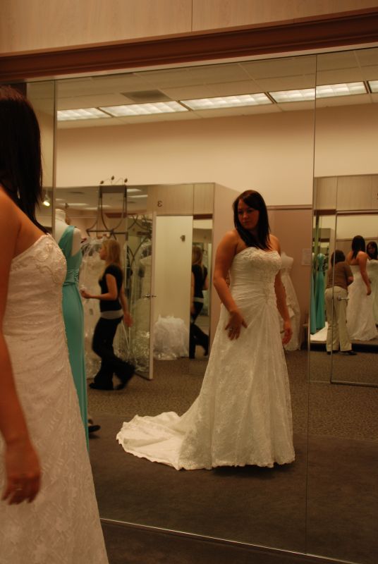 NEW DAVIDS BRIDAL DRESSES! :  wedding DSC 0364