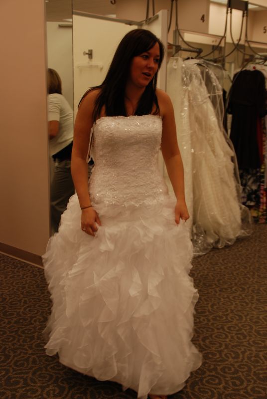 NEW DAVIDS BRIDAL DRESSES! :  wedding DSC 0441