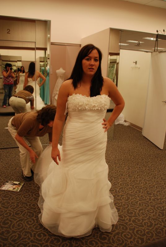 NEW DAVIDS BRIDAL DRESSES! :  wedding DSC 0514