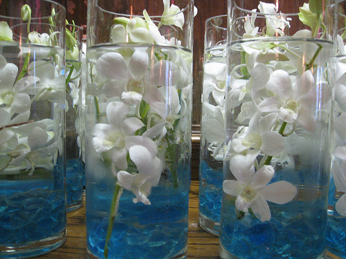 I lot of submerged flowers are orchids, they are beautiful & I don't THINK 
