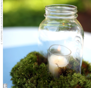 Vase filler ideas? :  wedding Moss Vase