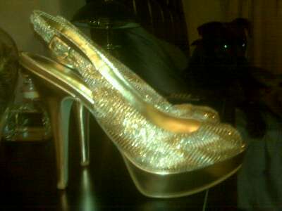 What shoes are you wearing with your wedding dress? :  wedding shoes wedding shoes bridal shoes shoe 1291662816295