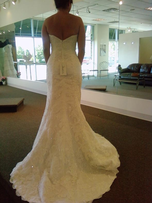 drop veil? :  wedding Back Dress