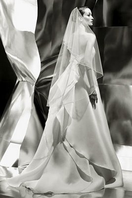 drop veil? :  wedding Drop Veil