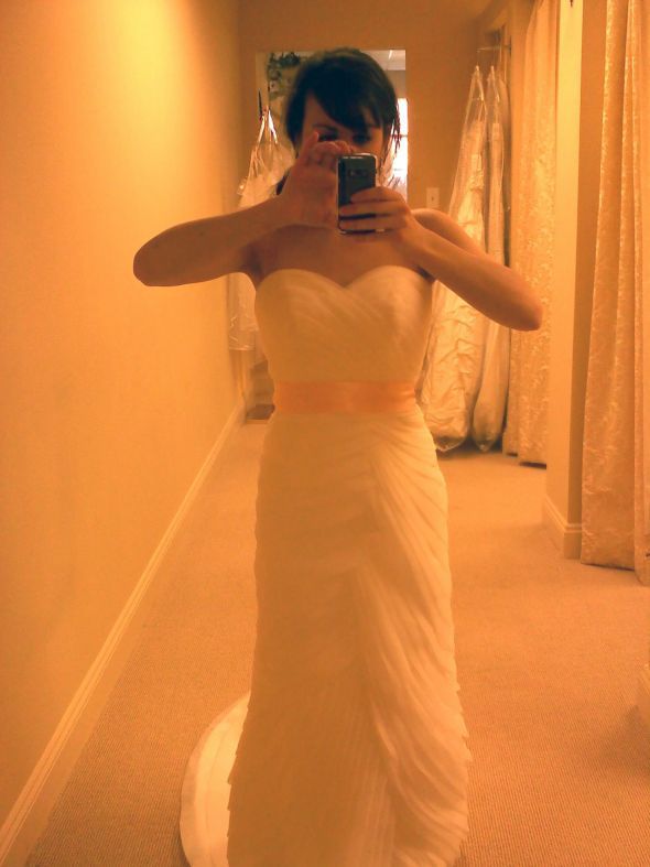 HELP me uncover a brial scam! :  wedding wedding dress help wedding dress scam wedding dress Me2
