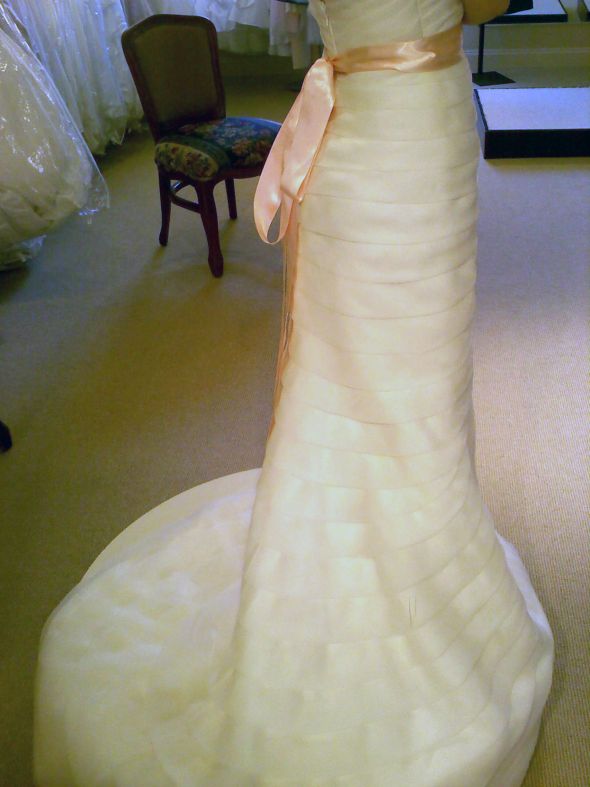 HELP me uncover a brial scam! :  wedding wedding dress help wedding dress scam wedding dress Me4
