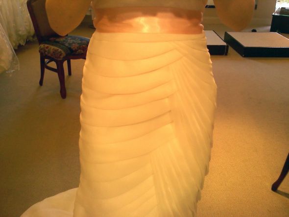 HELP me uncover a brial scam! :  wedding wedding dress help wedding dress scam wedding dress Me6