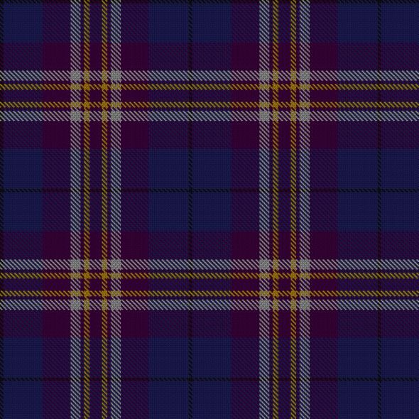 Our Hand-fasting :  wedding hand fasting tartan celtic ceremony Tartan