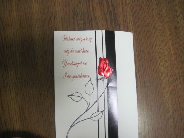 Printer help! :  wedding diy invites printing ink Ribbons 168