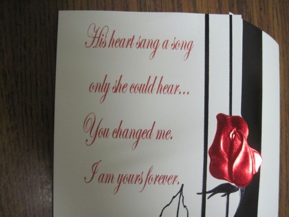 Printer help! :  wedding diy invites printing ink Ribbons 169