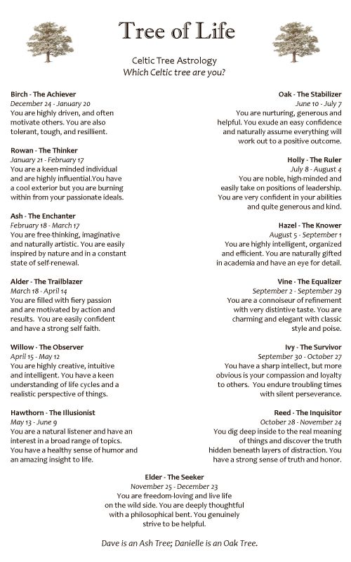 Need game idea for programs : wedding FanProgram Back Copy