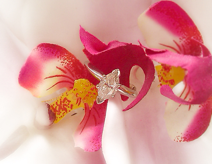 looked at wedding bands today wanted to cry )-: :  wedding Marquisering
