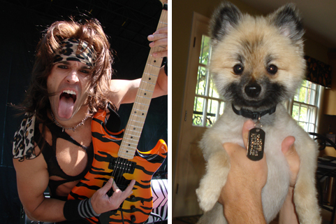 How did you name your pet? :  wedding pet names Satch