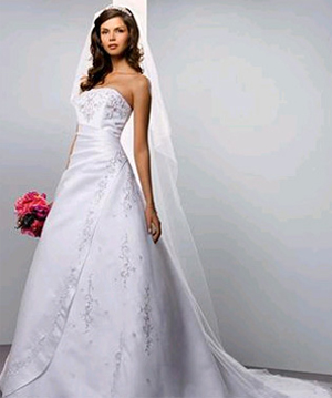 Birdcage, traditional, or both? :  wedding veil birdcage cathedral Wedding Dress