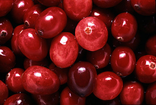 Cranberry Season :  wedding centerpiece cranberry red Image.axd