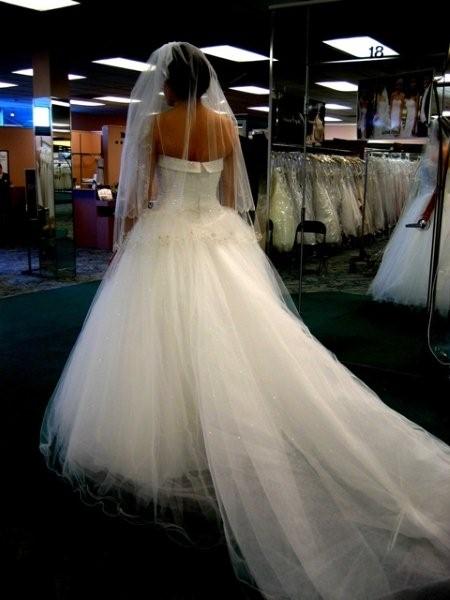 David's Bridal Gowns...who has one? : wedding davids bridal full figured 1 budget Smalldress