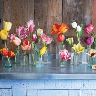 Daytime centerpieces? HELP! : wedding centerpieces diy flowers decorations reception Bud Vases