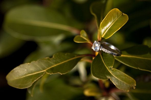 Has anyone bought a ring from moissaniteco.com? :  wedding moissanite diamond alternatives Img9240