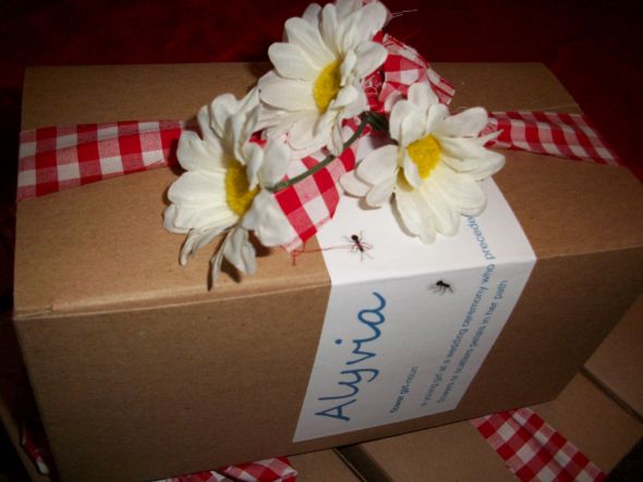 snack packs for bridal party lunch