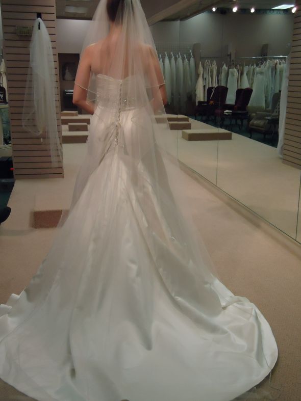 What do you think of the dress? :  wedding DSC00079