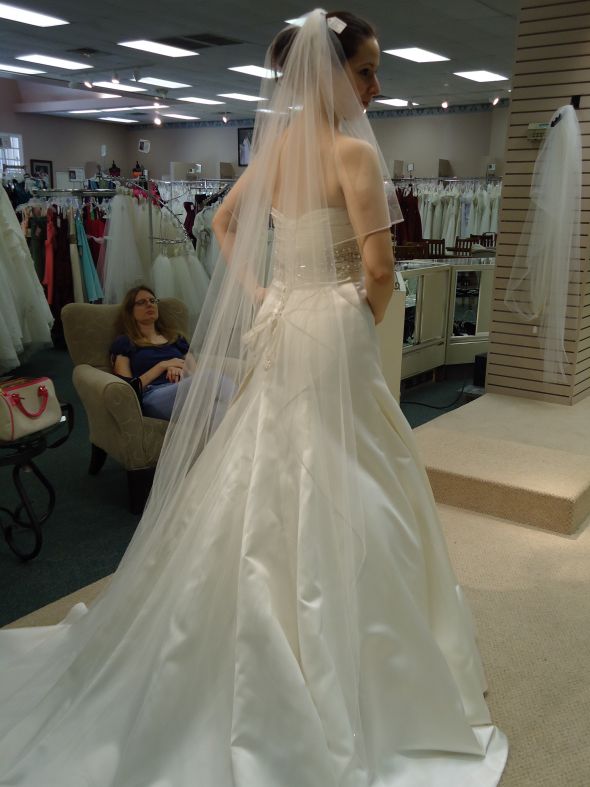 What do you think of the dress? :  wedding DSC00080