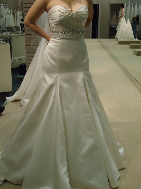 What do you think of the dress? :  wedding DSC00085