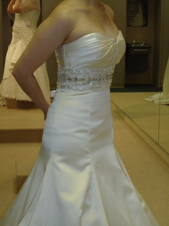 What do you think of the dress? :  wedding DSC00088
