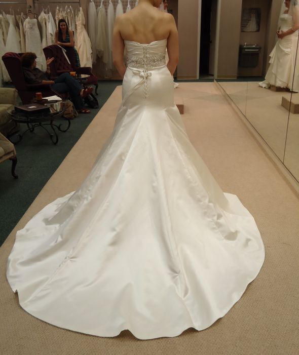 What do you think of the dress? :  wedding DSC00089