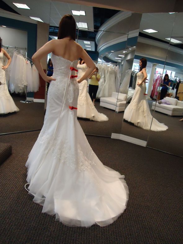 I DID IT!!!  I ordered my dress! :  wedding DSC00138